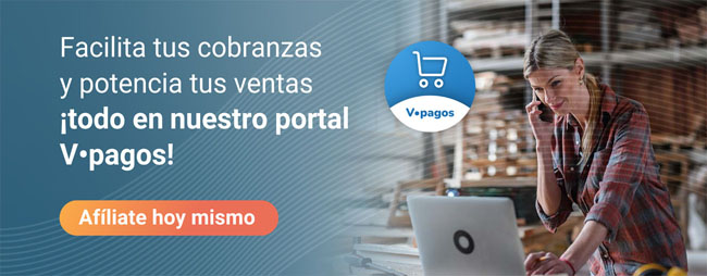 Portal V.pagos Ofrécele a tus clientes todas las
formas de pago en un mismo lugar